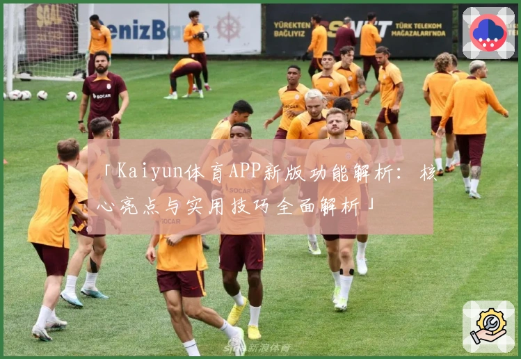 「Kaiyun体育APP新版功能解析:核心亮点与实用技巧全面解析」